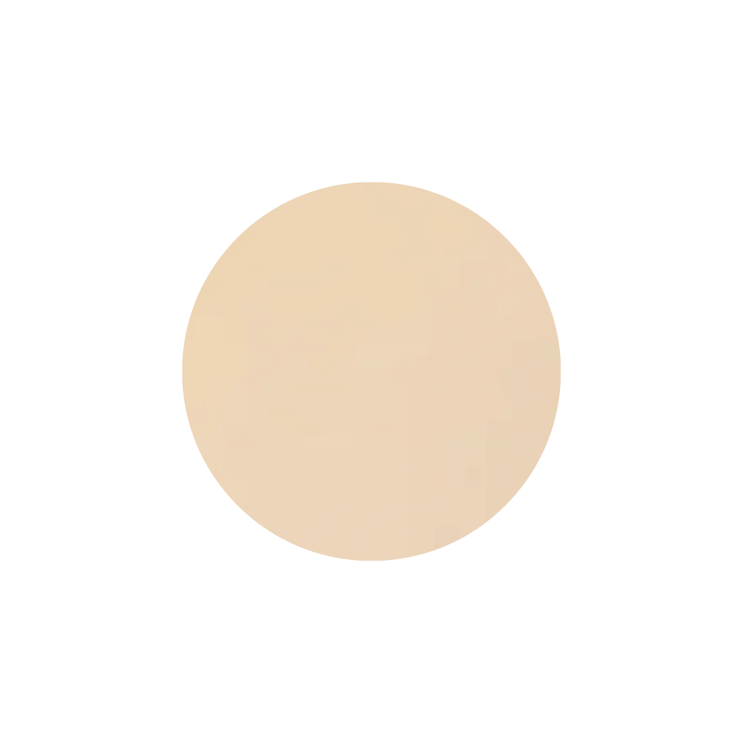 Mineral Dual foundation