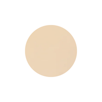 Mineral Dual foundation